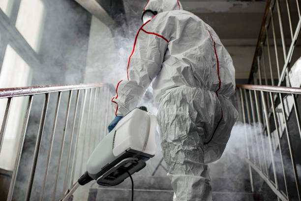 Why You Should Choose Our Mold Remediation Services in Gowanda, NY